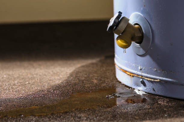 Trusted Canby, OR Water damage restoration Experts