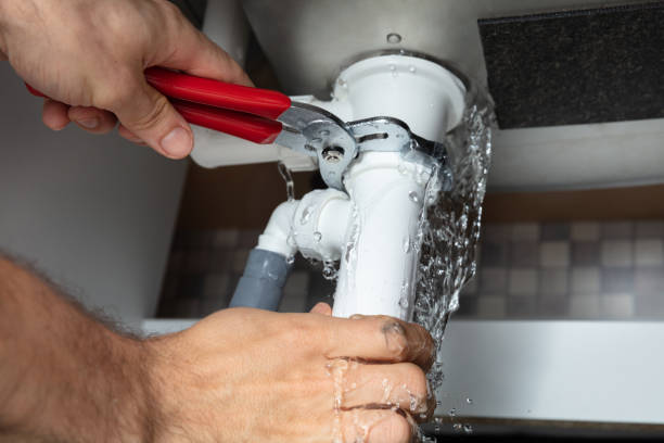 Best Mold removal after water damage  in Canby, OR