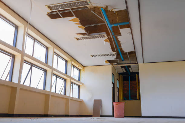 Best Water damage restoration near me  in Canby, OR