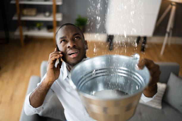 Best Mold removal after water damage  in Canby, OR