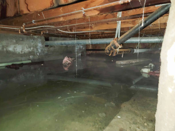 Best 24/7 water damage repair  in Canby, OR