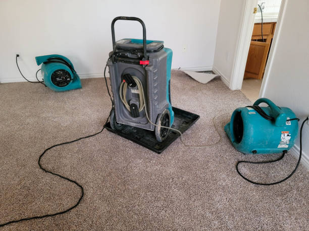Best Flooded house restoration  in Canby, OR