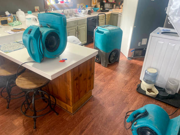 Best Professional water damage repair  in Canby, OR