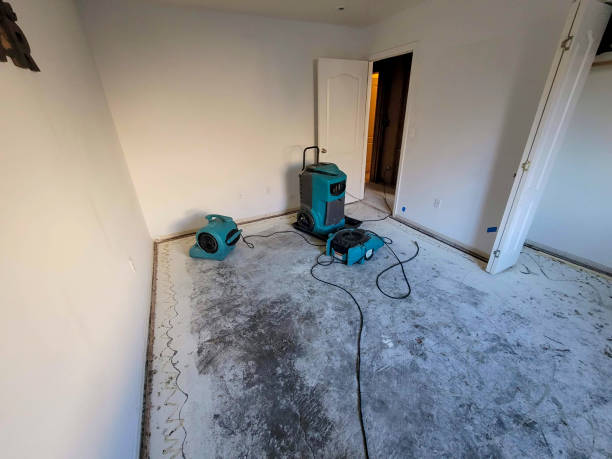 Best Fire Damage Restoration  in Canby, OR