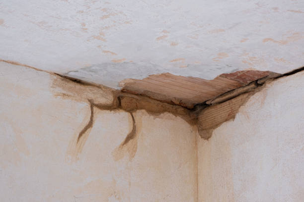 Best Flood restoration services  in Canby, OR