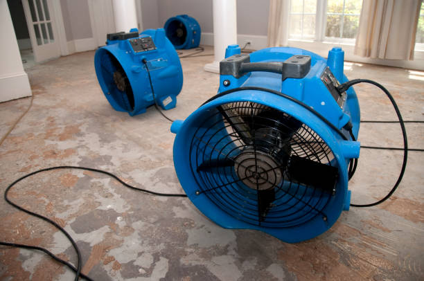 Best Ceiling water damage repair  in Canby, OR