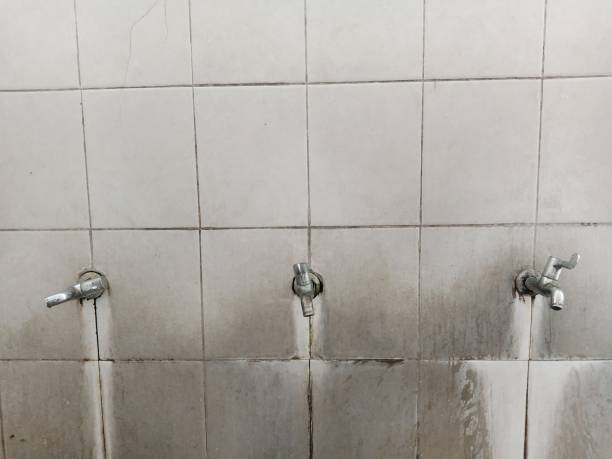Best Local water damage restoration  in Canby, OR