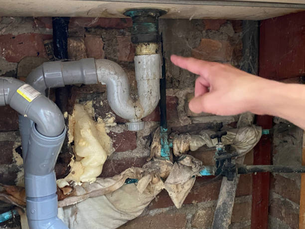 Best Water damage restoration insurance claims  in Canby, OR