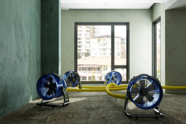 Best 24-hour water damage restoration  in Canby, OR